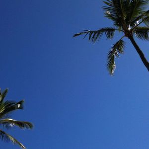 Meet your Posher, Flower